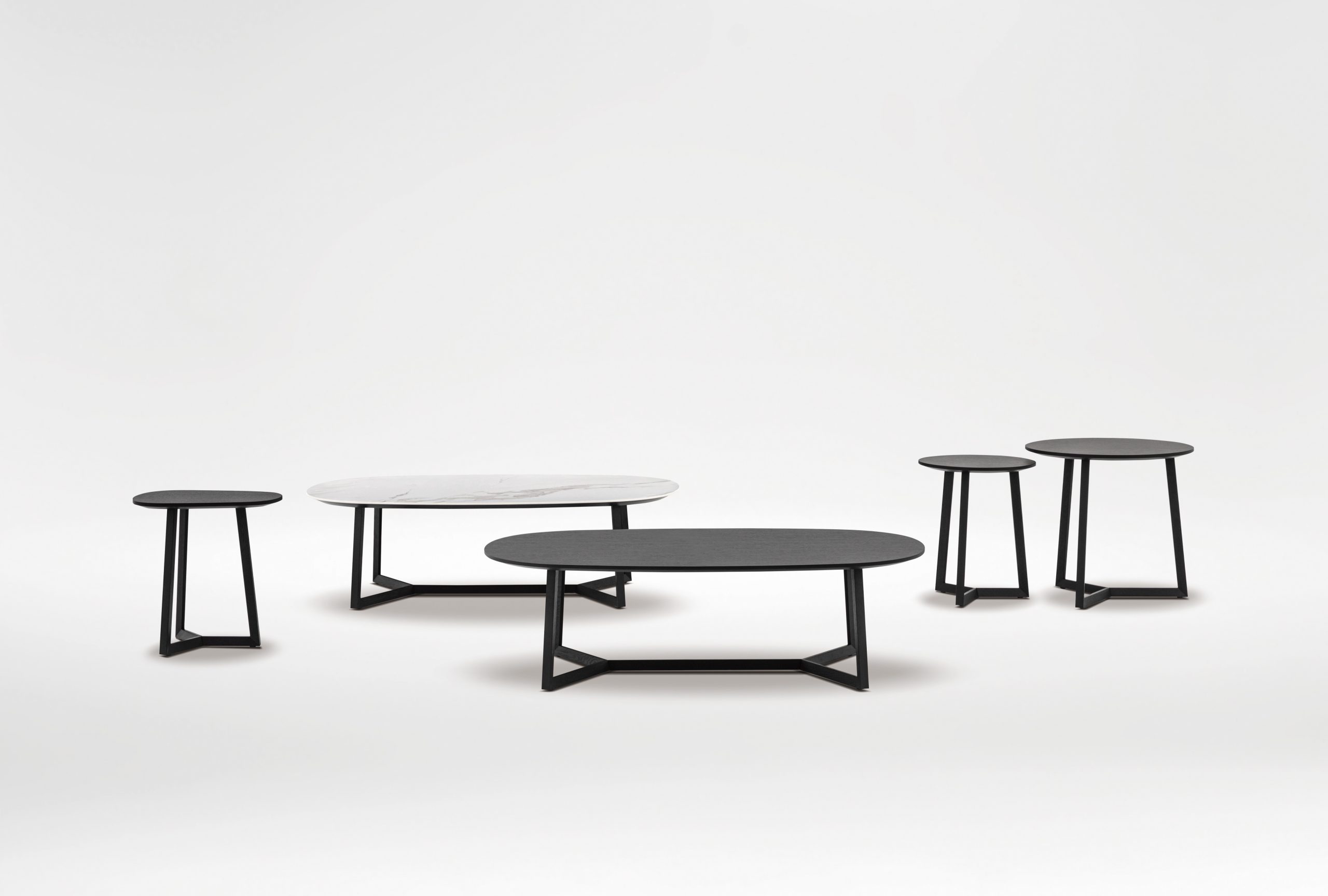 TERI Table-2